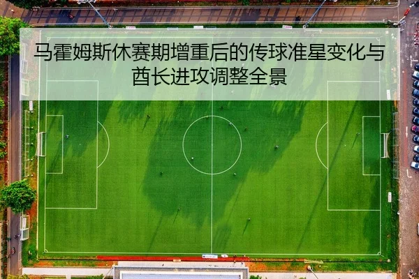 马霍姆斯休赛期增重后的传球准星变化与酋长进攻调整全景